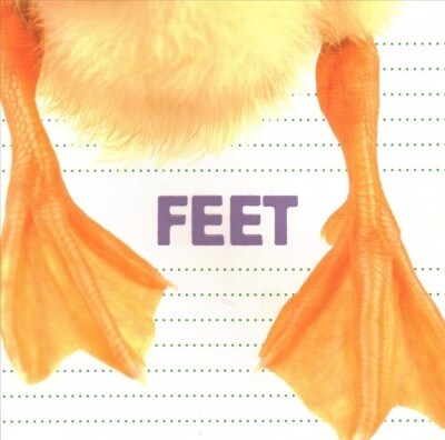 Feet (Paperback)