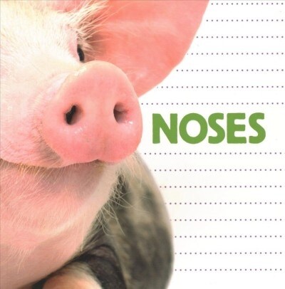 Noses (Paperback)