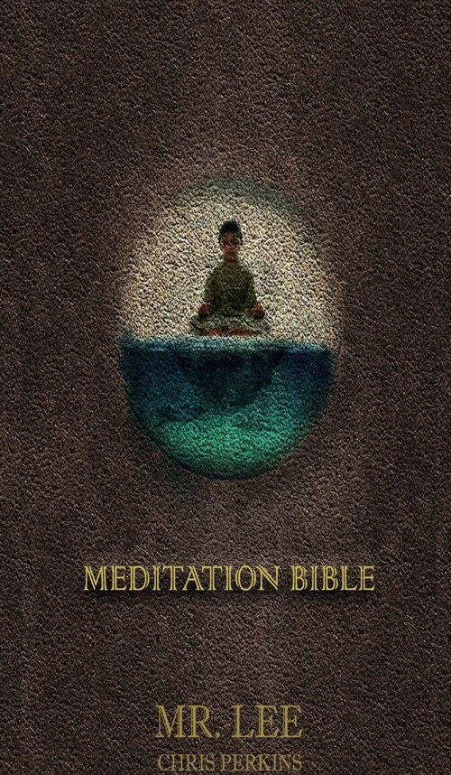 History of Meditation (Hardcover)