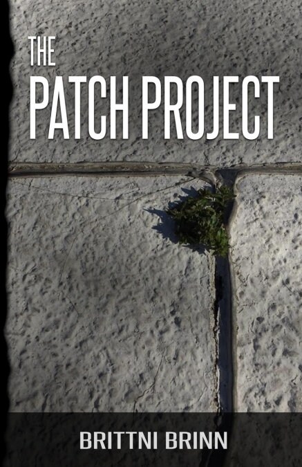 The Patch Project (Paperback)