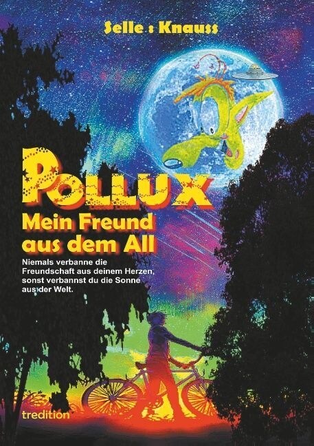 POLLUX - Mein Freund aus dem All: Niemals verbanne die Freundschaft aus deinem Herzen, sonst verbannst du die Sonne aus der Welt (Paperback)