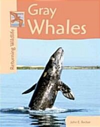 Gray Whales (Library)