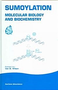 Sumoylation : Molecular Biology and Biochemistry (Hardcover)
