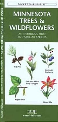 Minnesota Trees & Wildflowers: An Introduction to Familiar Species (Paperback)