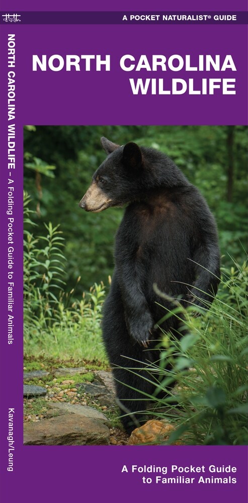 North Carolina Wildlife: A Folding Pocket Guide to Familiar Animals (Paperback)