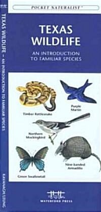 Texas Wildlife: An Introduction to Familiar Species (Paperback)