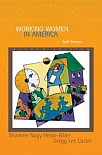 Working Women in America: Split Dreams (Paperback, 2)