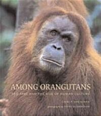 Among Orangutans (Hardcover)