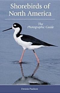 Shorebirds Of North America (Paperback)