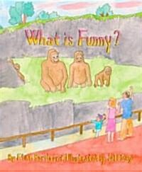 What Is Funny? (Paperback)