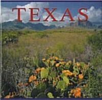 Texas (Paperback)