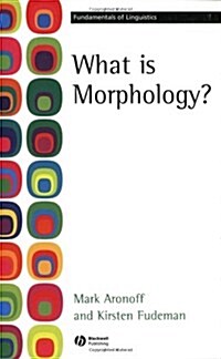 What is Morphology? (Paperback)