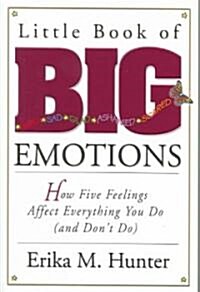 Little Book of Big Emotions: How Five Feelings Affect Everything You Do (and Dont Do) (Paperback)