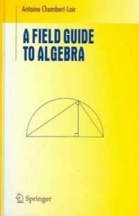 A field guide to algebra