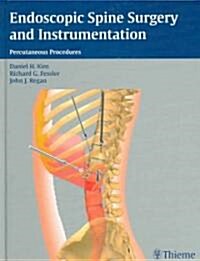 Endoscopic Spine Surgery And Instrumentation (Hardcover)