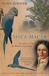 Spixs Macaw: The Race to Save the Worlds Rarest Bird (Paperback)