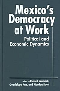 Mexicos Democracy At Work (Hardcover)