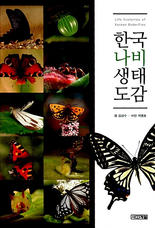 한국 나비 생태도감