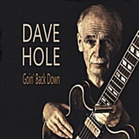 [수입] Dave Hole - Goin Back Down (Vinyl LP)