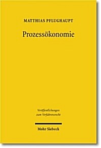 Prozessokonomie: Verfassungsrechtliche Anatomie Und Belastbarkeit Eines Gern Bemuhten Arguments (Paperback)