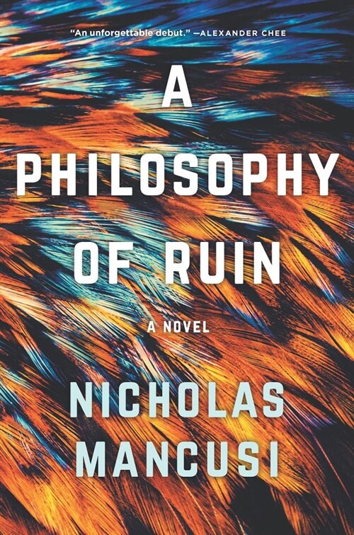 A Philosophy of Ruin (Hardcover, Original)