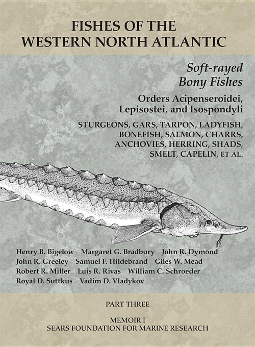 Soft-Rayed Bony Fishes: Orders Acipenseroidei, Lepisostei, and Isospondyli: Part 3 (Paperback)