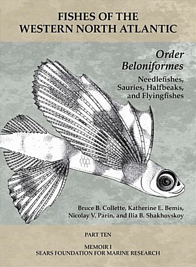 Order Beloniformes: Needlefishes, Sauries, Halfbeaks, and Flyingfishes: Part 10 (Paperback)