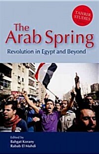 Arab Spring in Egypt (Hardcover)
