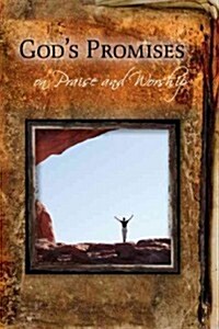 Gods Promises on Praise and Worship (Paperback)