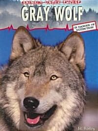 Gray Wolf (Paperback)