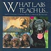 What Labs Teach Us...: Lifes Lessons Learned from Labrador Retrievers (Hardcover)