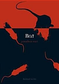 Rat (Paperback)