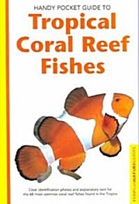 Tropical Coral Reef Fishes (Paperback)