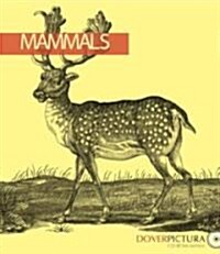 [중고] Mammals [With CDROM] (Paperback)
