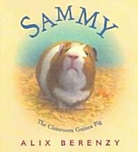 Sammy the classroom guinea pig 