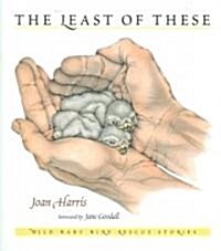 The Least Of These (Paperback)