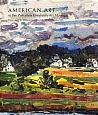 American Art In The Princeton University Art Museum (Hardcover)