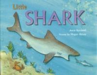 Little Shark (Library)