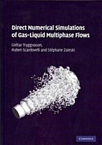 Direct Numerical Simulations of Gas–Liquid Multiphase Flows (Hardcover)