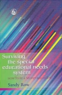 Surviving the Special Educational Needs System : How to be a `Velvet Bulldozer (Paperback)