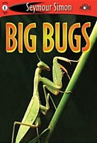Big Bugs (School & Library)