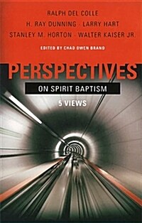 Perspectives on Spirit Baptism (Paperback)