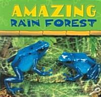 Amazing Rain Forest (Paperback)