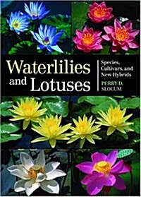 Waterlilies And Lotuses (Hardcover)