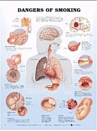 Dangers of Smoking Anatomical Chart (Paperback)