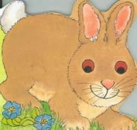Bunny (Paperback)