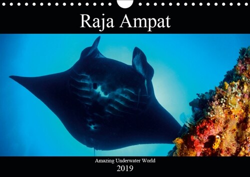 Raja Ampat - Amazing Underwater World 2019 : Diving in deep ocean of Raja Ampat (Calendar, 3 ed)