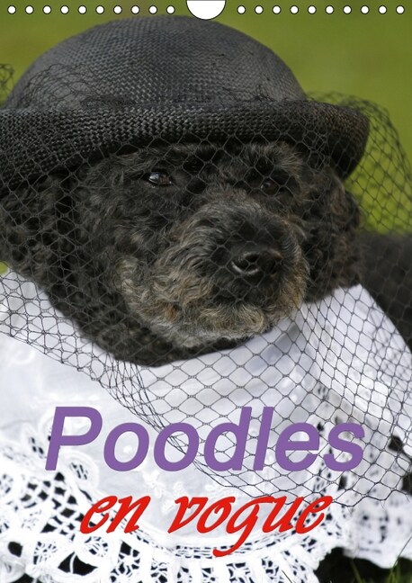 Poodles en vogue / UK-Version 2019 : Funny poodles (Calendar, 6 ed)