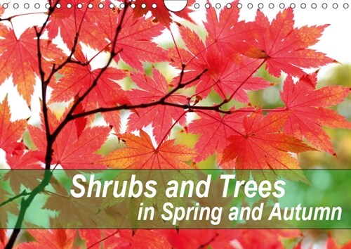 Shrubs and Trees in Spring and Autumn 2019 : Blossoms and berries of shrubs and trees. (Calendar, 4 ed)