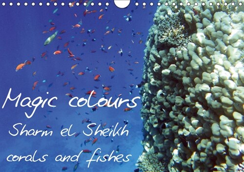 Magic colours Sharm el Sheikh corals and fishes 2019 : Pictures of Sharm el Sheikh coral reef (Red Sea). (Calendar, 5 ed)